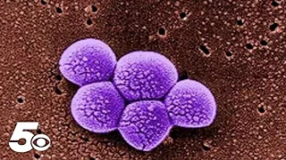 New recommendations for preventing the transmission of MRSA