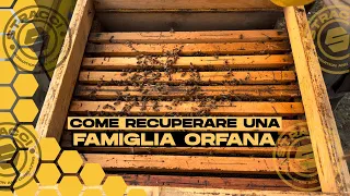 Recuperiamo le Famiglie Orfane Grazie al Nostro METODO!