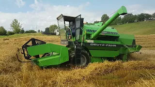 Žetva tritikala ( trožita ) sa Deutz Fahr M 1080 - Harvesting grain with a combine harvester