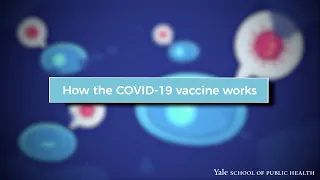 mRNA Vaccines - How the COVID mRNA vaccines work