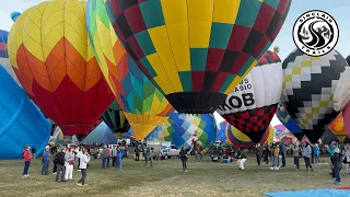 Albuquerque balloons from field