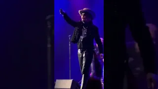 Adam Ant: Stand & Deliver Live in Chicago 2024