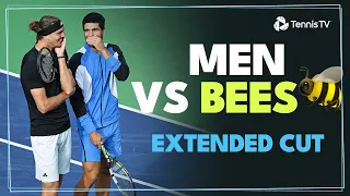 Men vs Bees | Extended Cut Of Alcaraz & Zverev's Unexpected Interruption! 🐝