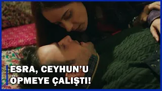 Esra, Ceyhun'u Öpmeye Çalıştı! - Ulan İstanbul 29. Bölüm