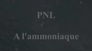 PNL - A l'Ammoniaque [INSTRUMENTAL remake sample]