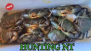 CRABBING AND CATCH SOME MONSTER MUD CRABS
