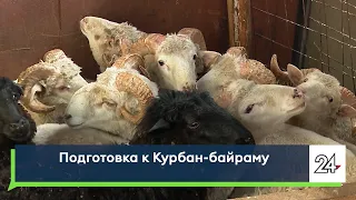 Подготовка к Курбан-байраму