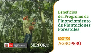 Presentación de los Beneficios del Programa de Financiamiento de Plantaciones Forestales