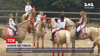 Кінний фестиваль на околицях Львова: чим унікальна торійська порода