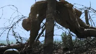 Hanging On The Old Barbed Wire - Marita Dyson