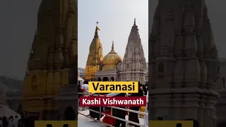 Kashi Vishwanath ji Darshan 2023 🙏 #kashi  #varanasi #shorts