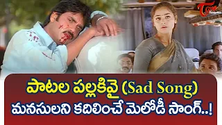 Nuvvu Vasthavani Songs | Patala Pallakivai Song | Nagarjuna, Simran Emotional Song | TeluguOne