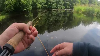 River Ayr fly fishing for Salmon 1st July 2023