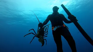 LOBSTERING AND SPEARFISHING IN UNREAL VISIBILITY