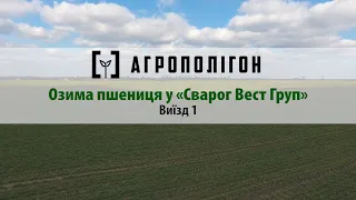 Технологія вирощування озимої пшениці у Сварог Вест Груп. Агрополігон (28.03.2019)