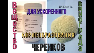 Виноград .Укоренение черенков .Клонекс гель своими руками.