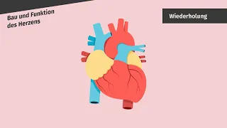 Herztätigkeit – Methoden der Überprüfung einfach erklärt | sofatutor