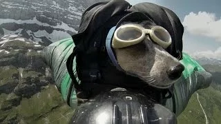 Dean Potter BASE Jumps With His Dog | National Geographic