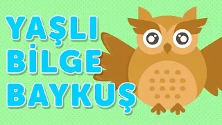 Yaşlı Bilge Baykuş - Yepyeni Çocuk Şarkısı | Akıllı Bıdık