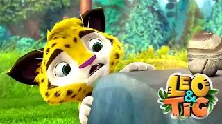 Leo and Tig 🦁 The Most Precious Thing 🐯 Best episodes 🦁 Funny Family Good Animated Cartoon for Kids