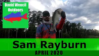 Bass Fishing Sam Rayburn April 2020