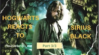 Hogwarts [Marauders Era] Reacts to Sirius Black Angst Part 3/3