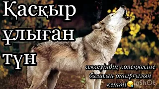 “Қасқыр ұлыған түн” (өмірден алынған)  Қайратұлы Ернұр