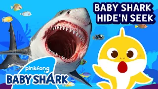 Baby Shark's Terrifying Hide and Seek | Is that a Real Shark?! | Hide'n Seek | Baby Shark Official