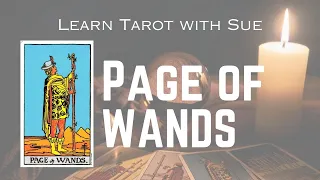 Learn the Page of Wands Tarot Card