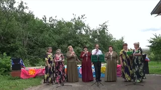 Хмель цветёт