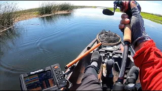Summer Buzzbait Fishing on the California Delta