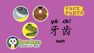 学中文- 五官 | Learn Chinese for kids - Face parts| Aprender Chino - Partes de la Cara