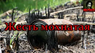 ЖЕСТЬ МОХНАТАЯ. Страшные истории на ночь. Страшилки на ночь