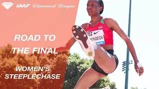 Road To The Final 2019: Women's 3000m Steeplechase - IAAF Diamond League