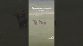 аламан бәиге