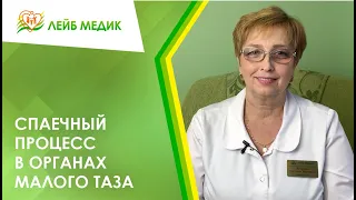 🕸️ Спаечный процесс в органах малого таза