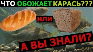 Насадка на КАРАСЯ. Батон или Хлеб? ОБОЖАЕТ КАРАСЬ? Рыбалка.