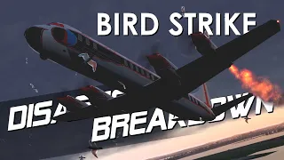 Deadly Bird Strike on a Passenger Plane (Eastern Airlines Flight 375) - DISASTER BREAKDOWN