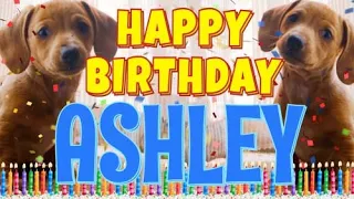 Happy Birthday Ashley! ( Funny Talking Dogs ) What Is Free On My Birthday