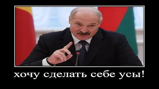 лукашенко звонит в салон красоты