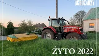 ✅Żyto Na Kiszonkę 2022🌾Massey Z Nowym Nabytkiem W Akcji 🆕🔥🚜✅