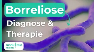 Borreliose behandeln: Diagnostik, Symptome und Therapie | Infektion 📊 Sabine Hofele