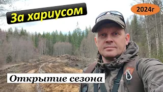 За хариусом. Открытие сезона 24 года.