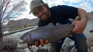 Most EPIC Rainbow Trout Fishing Day of my Life!! | Catch and Cook