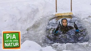 Eisbaden am Polarkreis | Reportage für Kinder | Pia und die wilde Natur