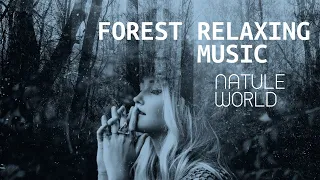 Natural Music The forest Relaxing Music of meditation with great greenery- 7 minutes Relaxing...