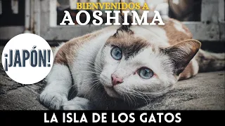 Aoshima: La ISLA de los GATOS