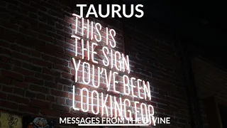 💚♉💚TAURUS-SOMEONE HAS MISTAKENED YOU FOR SOMEONE ELSE! 10/8/2020💚♉💚