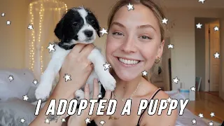 I adopted a puppy ☆ meet Lucky Montana