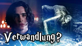 WAS ist mit Regulus Black passiert und wo ist seine Leiche?